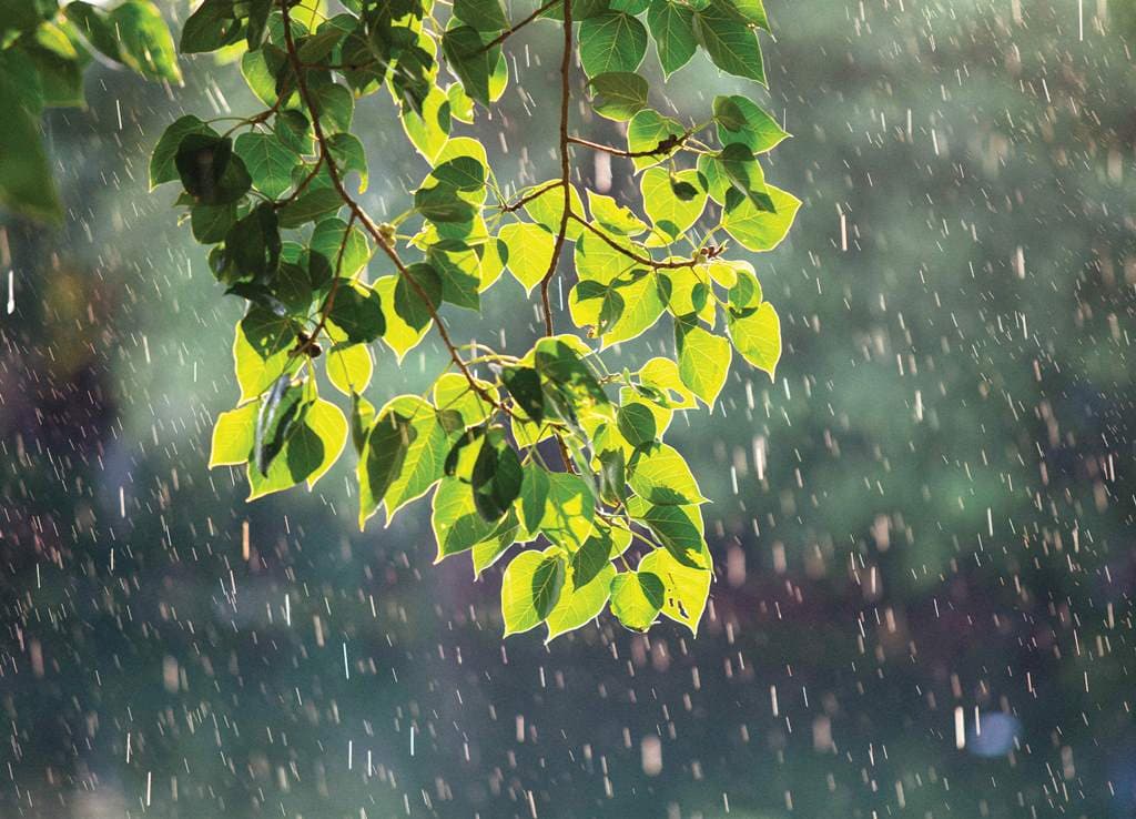 Cảnh báo mưa rào dông kèm lốc sét gió giật mạnh tại nội thành Hà Nội - ảnh 1