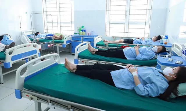 Vi khuẩn Salmonella gây ngộ độc 62 người tại huyện Diễn Châu, Nghệ An